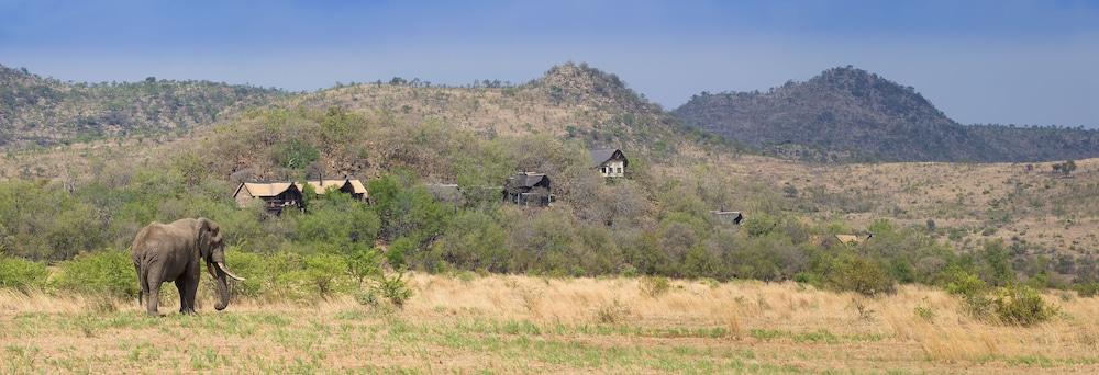 Tshukudu Bush Lodge Ledig Luaran gambar