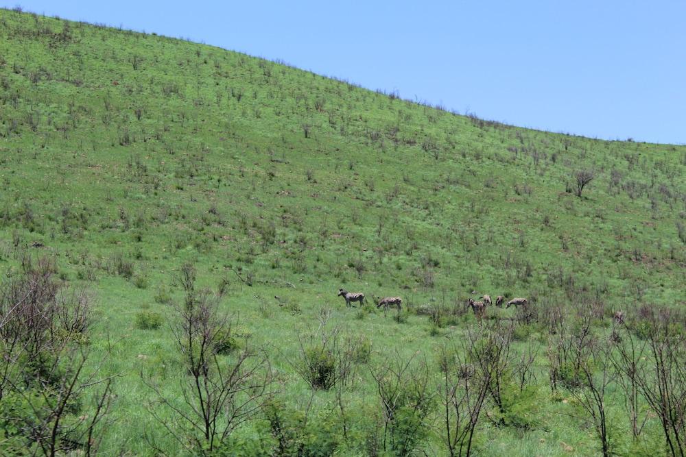 Tshukudu Bush Lodge Ledig Luaran gambar