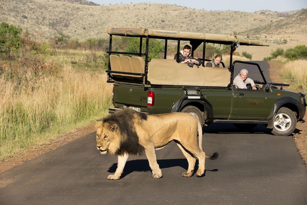 Tshukudu Bush Lodge Ledig Luaran gambar